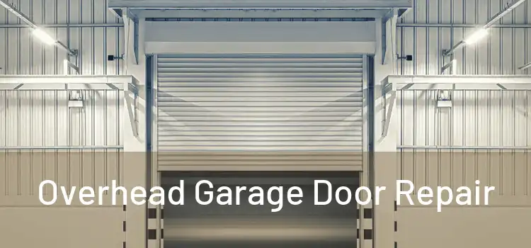  Overhead Garage Door Repair 